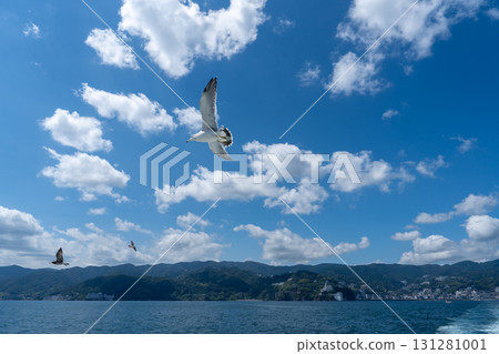 Cruise the seas of Atami where seagulls fly Cruise the seas of Atami where seagulls fly 131281001