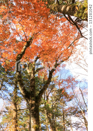 Mountain fall Mountain fall 131281042