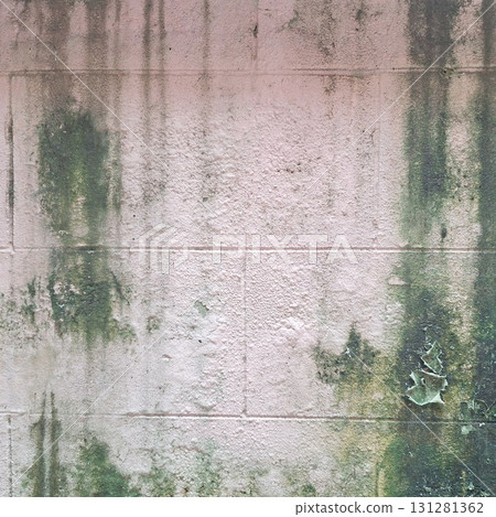 Old Concrete Wall with Moss Stains and Weathered Grunge Texture for Design 131281362
