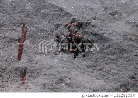 在博物館裡拍攝產地是美國的紅電氣石特寫照片 131281737