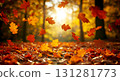 The dance of autumn light and autumn leaves 131281773