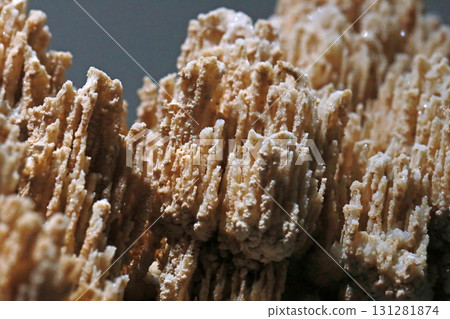 Close-up photo of stalactites on display in a museum 131281874