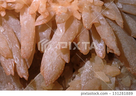 Close-up photo of stalactites on display in a museum Close-up photo of stalactites on display in a museum 131281889