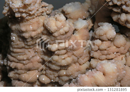 Close-up photo of stalactites on display in a museum Close-up photo of stalactites on display in a museum 131281895