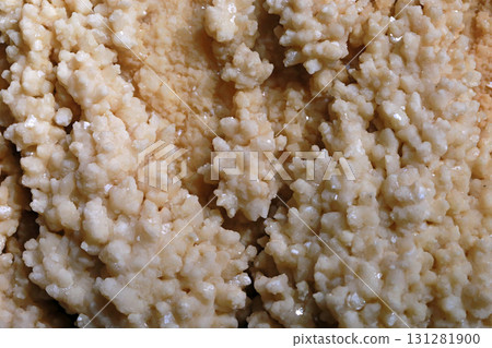 Close-up photo of stalactites on display in a museum Close-up photo of stalactites on display in a museum 131281900