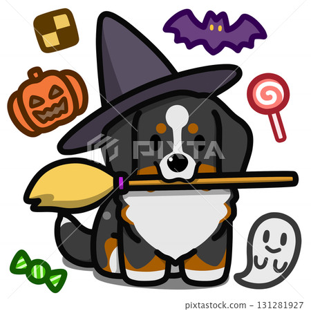 Bernese Mountain Dog in Halloween costume 131281927