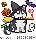 Black Siberian Husky in Halloween costume 131281930