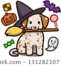 Orange spotted Dalmatian in Halloween costume 131282107