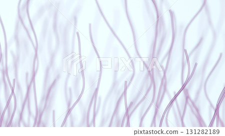 3D illustration of collagen and elastin fibers degraded by aging 131282189