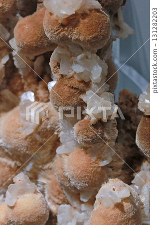 在博物館裡拍攝產自印度的桿沸石與輝沸石 在博物館裡拍攝產自印度的桿沸石與輝沸石 131282203