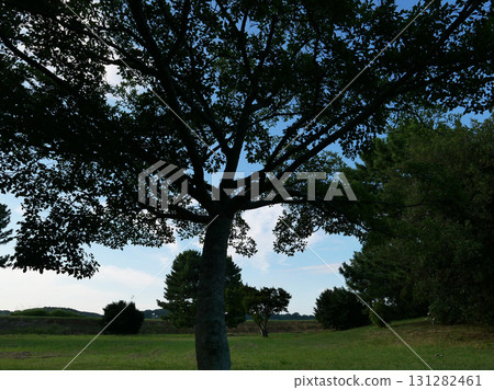 太陽落在拉姆薩爾湖上。天氣很熱。我經過時，一陣微風輕撫著我的肌膚。 131282461