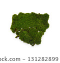 Green moss isolated on white background. Nature background. 131282899