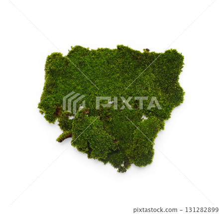 Green moss isolated on white background. Nature background. Green moss isolated on white background. Nature background. 131282899