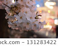 夜晚的城市櫻花盛開 131283422