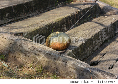Stairs and pumpkins Stairs and pumpkins 131283667