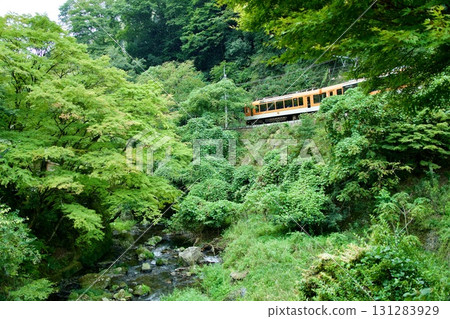 睿山電鐵900系列 新綠色穿行的“雲母” 睿山電鐵900系列 新綠色穿行的“雲母” 131283929