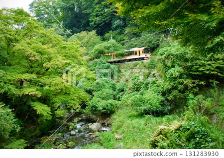 Eizan Electric Railway 900 Series Kirara running through fresh greenery 131283930