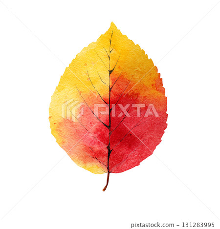 秋葉的簡單插圖素材 | 秋天,落葉,透明PNG 秋葉的簡單插圖素材 | 秋天,落葉,透明PNG 131283995