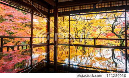 maple fall foliage colors with reflection on table, Rurikoin, Kyoto 131284038