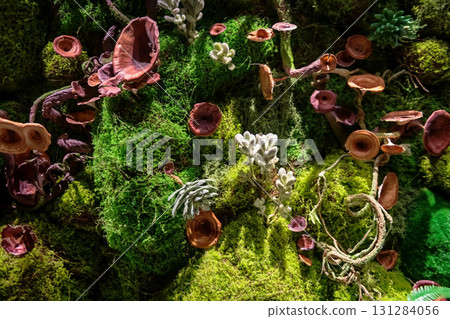 Tapestry of wood mushrooms, moss, flower, and lichens 131284056