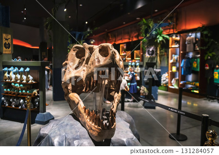 Dinosaur skull at Jurassic world souvenir store at Asiatique, Bangkok 131284057