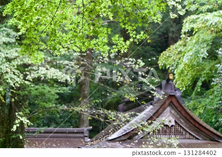 The inner shrine of Kifune Shrine is covered in greenery The inner shrine of Kifune Shrine is covered in greenery 131284402