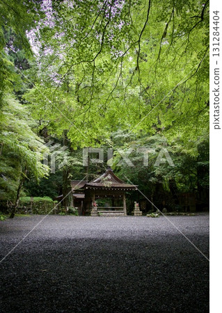 The inner shrine of Kifune Shrine is covered in greenery 131284404