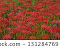 Ninba noodoshigahana 131284769