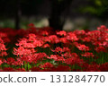 Ninba noodoshigahana 131284770