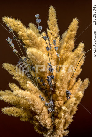 Fluffy Golden Grasses with Lavender on a Dark Background Fluffy Golden Grasses with Lavender on a Dark Background 131285048