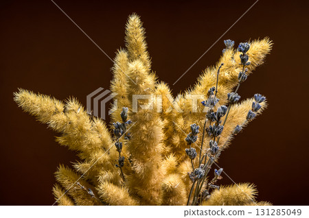 Fluffy Golden Grasses with Lavender on a Dark Background 131285049