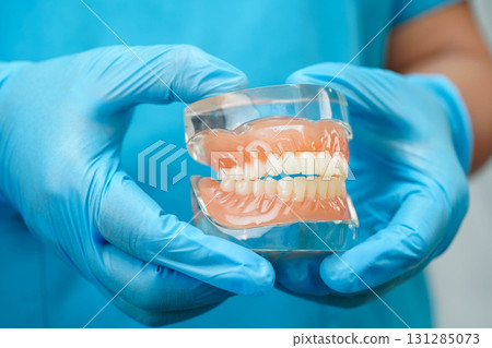 Dental teeth model on white background for learn about dentistry. 131285073