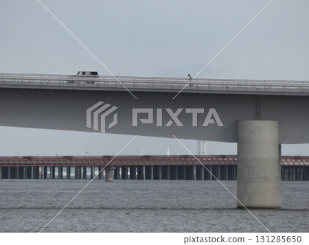 A modern viaduct over the water, with an old railway bridge visible in the background 131285650