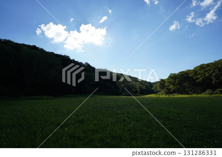 七月的北土布沼澤（長野縣木島平村） 131286331