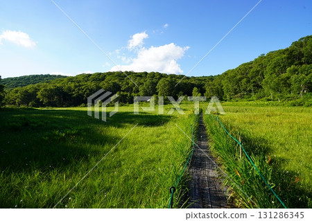 七月的北土布沼澤(長野縣木島平村) 七月的北土布沼澤(長野縣木島平村) 131286345