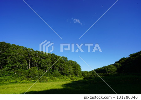 七月的北土布沼澤(長野縣木島平村) 七月的北土布沼澤(長野縣木島平村) 131286346