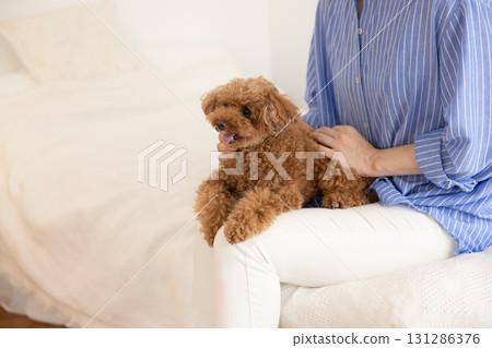 Pet: Dog relaxing on bed with owner Pet: Dog relaxing on bed with owner 131286376