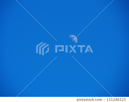 七月的北土布沼澤（長野縣木島平村） 131286525