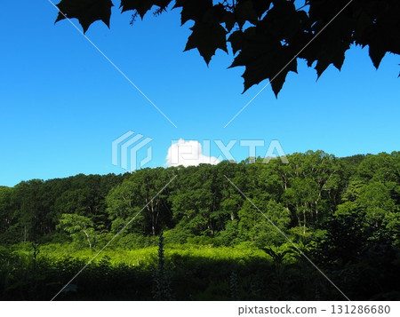 Kitadobu Marsh in July (Kijimadaira Village, Nagano Prefecture) 131286680