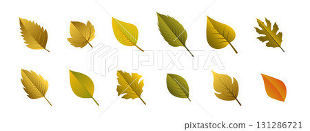 herbal and flat autumn leaves background design herbal and flat autumn leaves background design 131286721