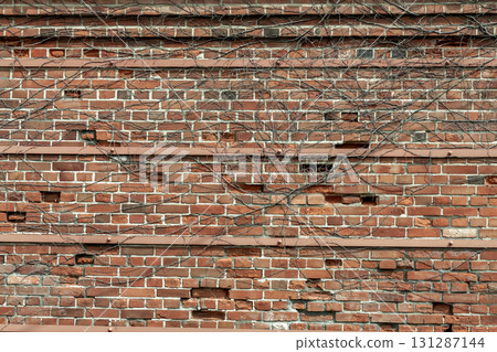 A brick wall with climbing plants wrapped around it [retro image] 131287144