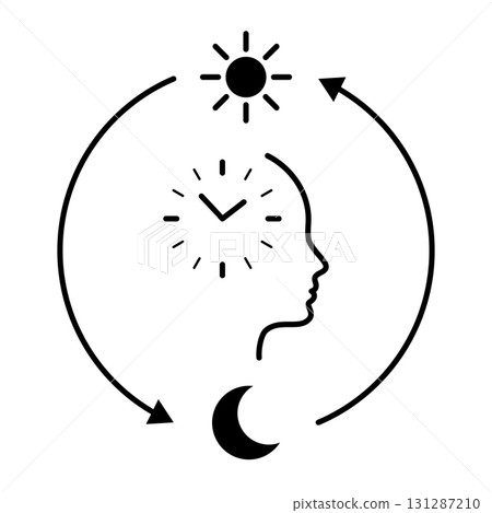 Circadian rhythm. Human profile with clock inside head, sun and moon cycle around. Concept of circadian health, biological rhythm, sleep and wake cycle, psychology and wellness. Circadian rhythm. Human profile with clock inside head, sun and moon cycle around. Concept of circadian health, biological rhythm, sleep and wake cycle, psychology and wellness. 131287210