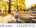 Kooikerhondje bathed in autumn sunlight 131287311