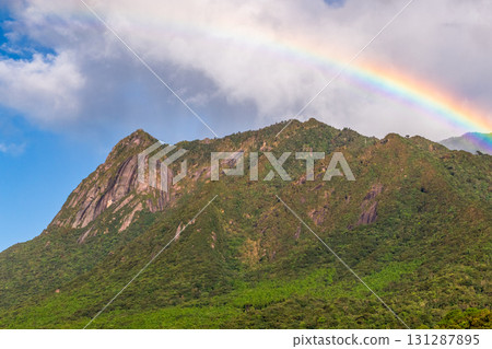 Rainbow World Natural Heritage Yakushima Mt. Mochomu (Autumn) Rainbow World Natural Heritage Yakushima Mt. Mochomu (Autumn) 131287895
