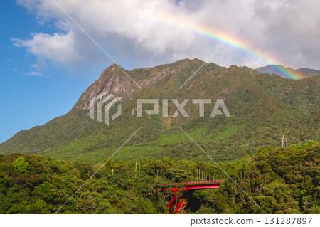 Rainbow World Natural Heritage Yakushima Mt. Mochomu (Autumn) Rainbow World Natural Heritage Yakushima Mt. Mochomu (Autumn) 131287897