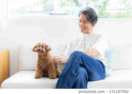 A middle-aged man playing with a toy poodle A middle-aged man playing with a toy poodle 131287902