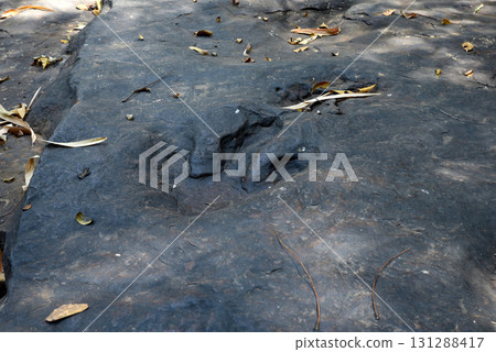 Dinosaur footprints Three-toed predatory species Carved in black natural stone. 131288417