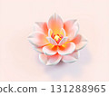 Blossoming Peach Lotus Flower, Soft Illumination, Elegant Floral Design 131288965