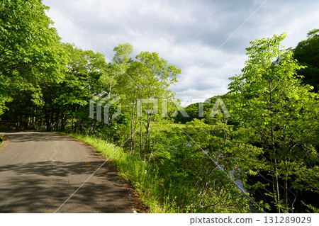 六月初的矢野原濕原（福島縣昭和村） 131289029