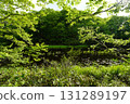 Yanohara Marsh in early June (Showa Village, Fukushima Prefecture) 131289197